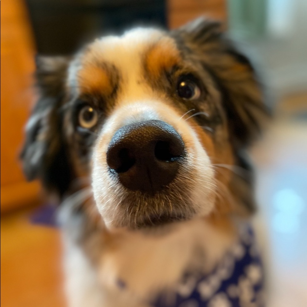 Meet your Posher, Brandy